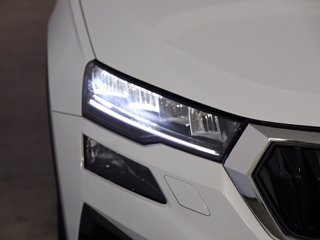 SKODA Karoq 2.0 tdi evo selection 115cv