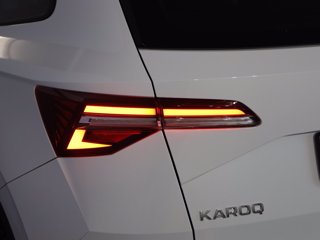 SKODA Karoq 2.0 tdi evo selection 115cv