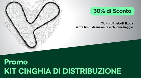 KIT CINGHIA  DI DISTRIBUZIONE 