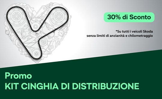 KIT CINGHIA  DI DISTRIBUZIONE 